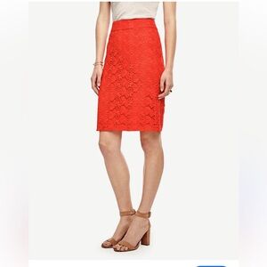 Ann taylor Red/orange Lace Skirt 12